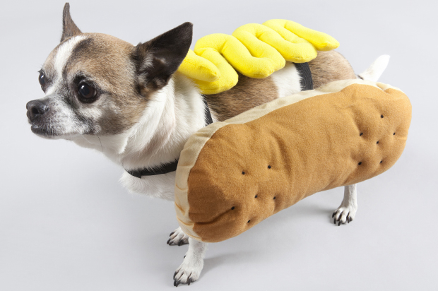 (<a href='http://www.istockphoto.com/profile/jodijacobson'>JodiJacobson</a> via <a href='http://www.istockphoto.com/'>iStock</a>)
