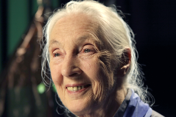 Dr. Jane Goodall (AP/Kathy Willens)