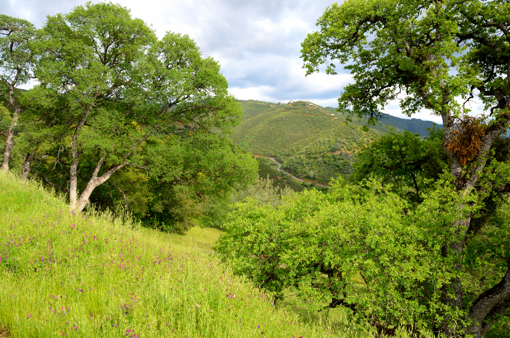 Sugarloaf Ridge State Park, California. (Candia Baxter/Shutterstock)
