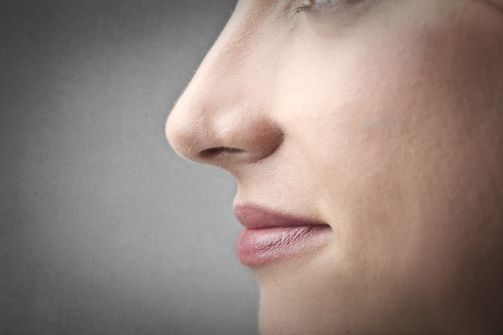 Sense of smell (<a href='http://www.shutterstock.com/gallery-160669p1.html'>Ollyy</a> via <a href='http://www.shutterstock.com/'>Shutterstock</a>)