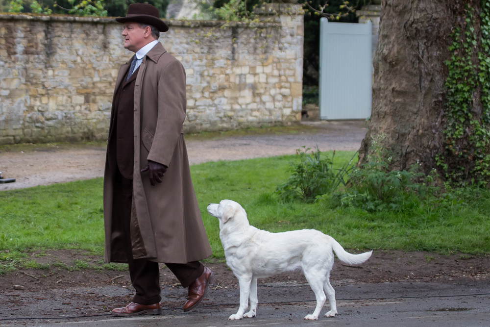 Hugh Bonneville as Robert Crawley in "Downton Abbey" (<a href="http://www.shutterstock.com/gallery-445291p1.html?cr=00&pl=edit-00">Mr Pics</a> / <a href="http://www.shutterstock.com/editorial?cr=00&pl=edit-00">Shutterstock.com</a>)
