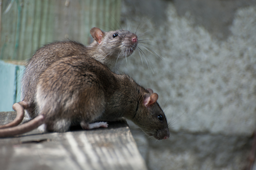 (<a href='url to photographer'>Helko Kiera</a> via <a href='http://www.shutterstock.com/'>Shutterstock</a>)