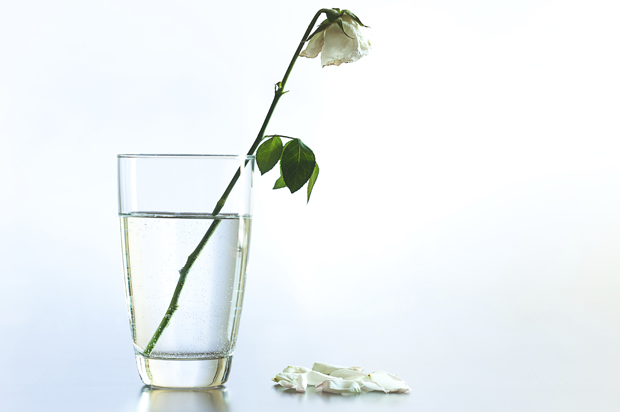 (<a href='http://www.istockphoto.com/profile/milosjokic'>MilosJokic</a> via <a href='http://www.istockphoto.com/'>iStock</a>)