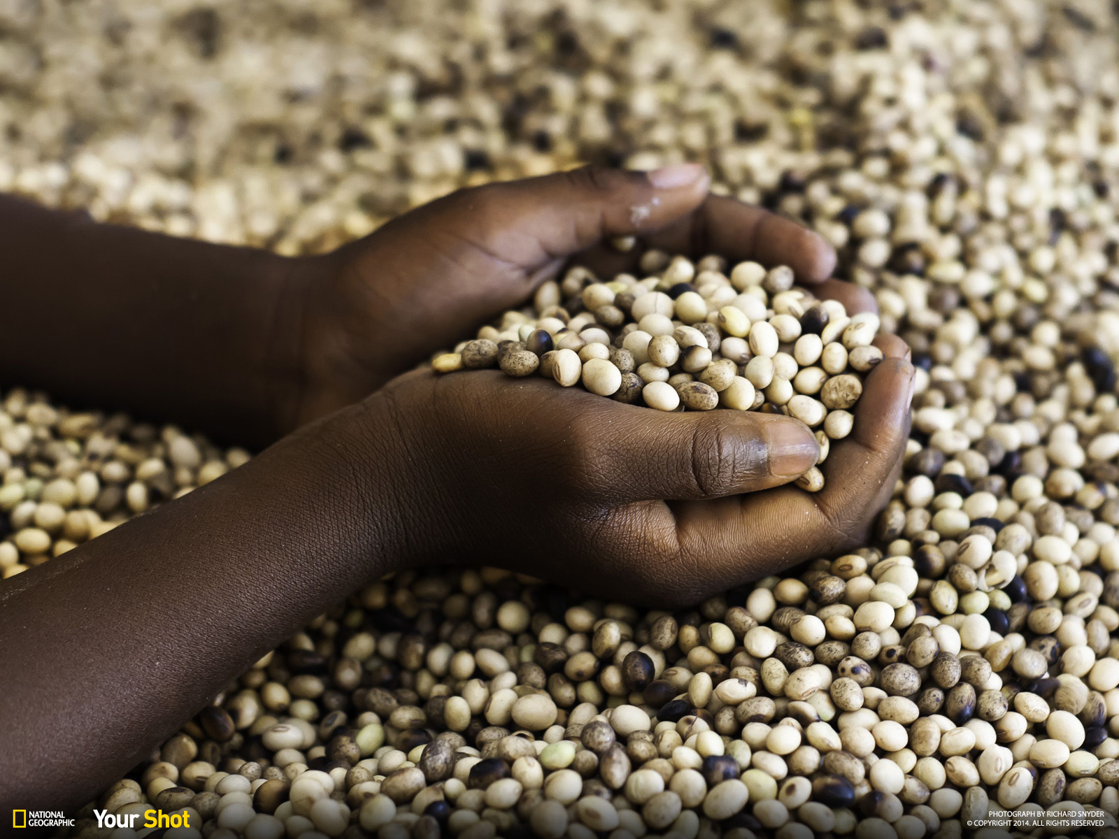 A child displaying a handful of soy beans that will be part of their daily food. (Photograph and caption by Richard Snyder/National Geographic Your Shot)