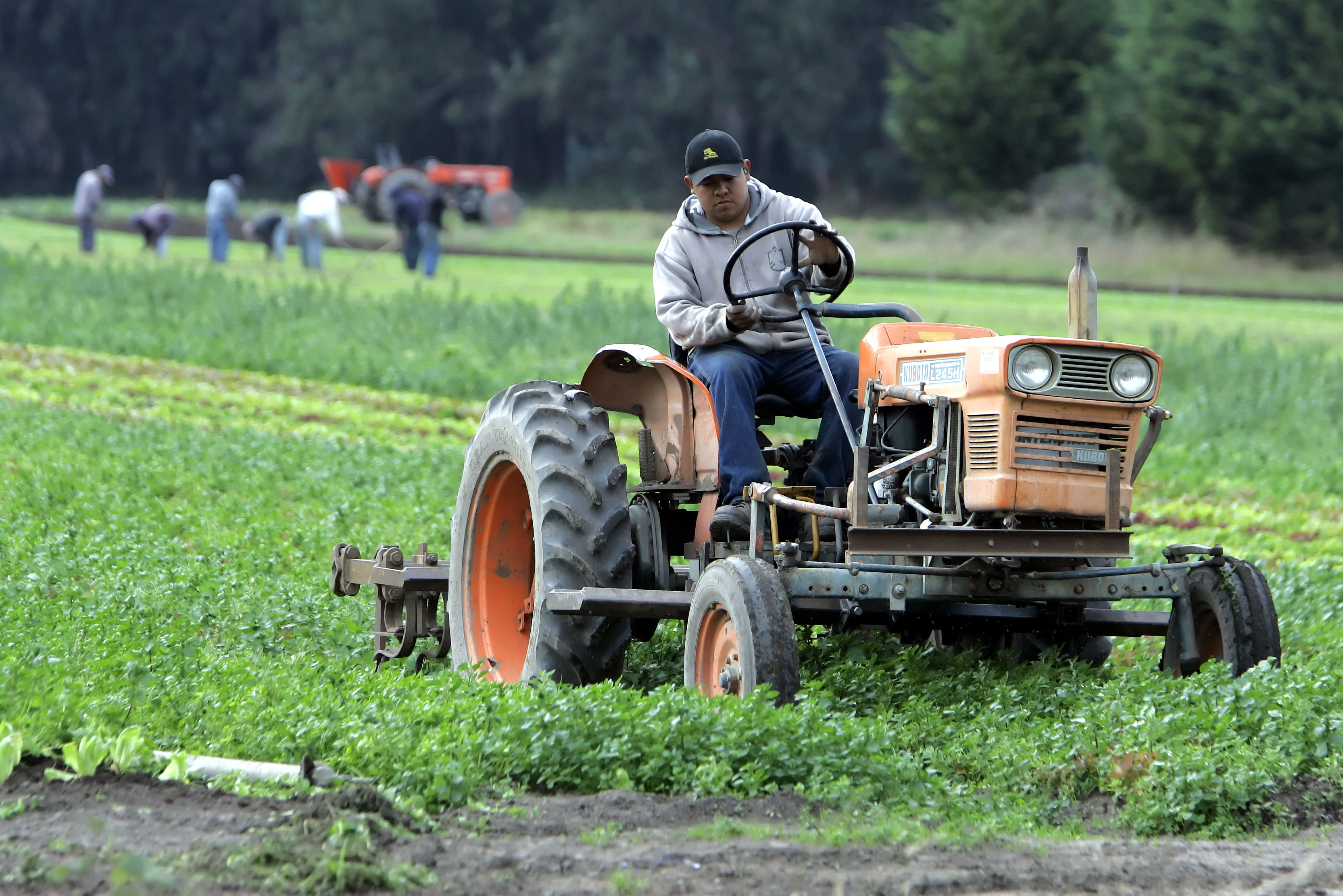 (AP Photo/Eric Risberg, File)