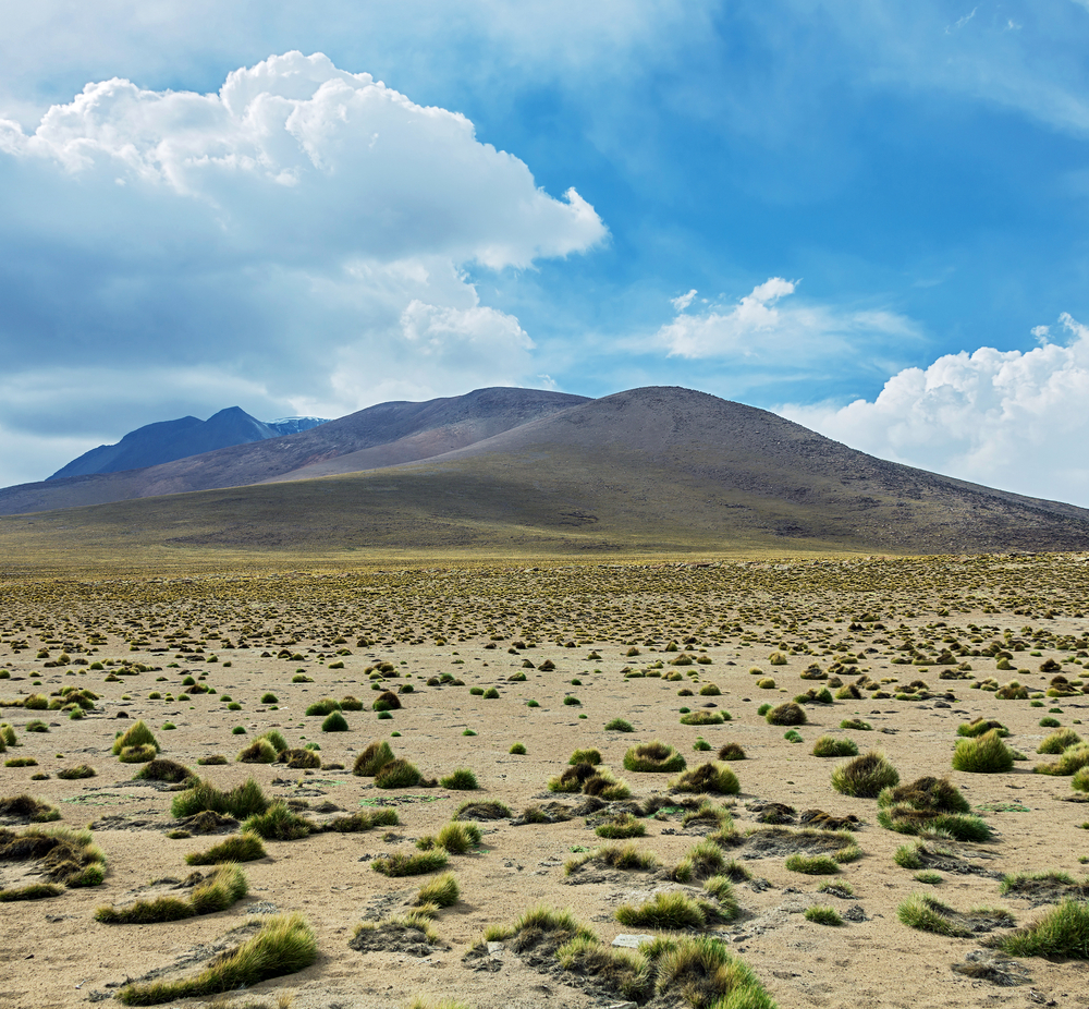 (<a href='url to photographer'>Vadim Petrakov</a> via <a href='http://www.shutterstock.com/'>Shutterstock</a>)