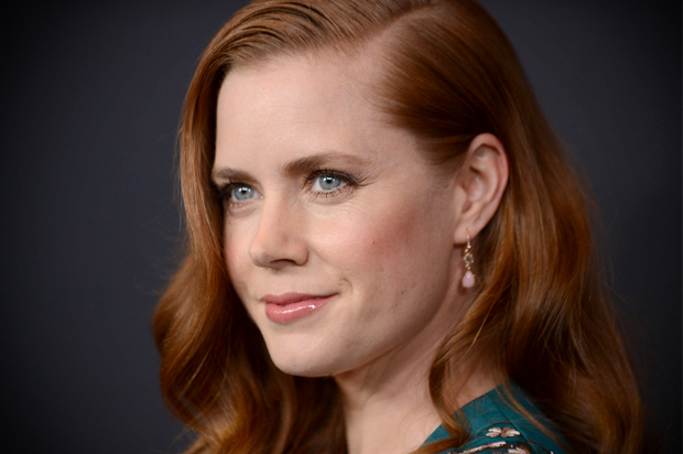 Amy Adams (AP/Jordan Strauss)