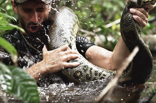 (Discovery Channel)