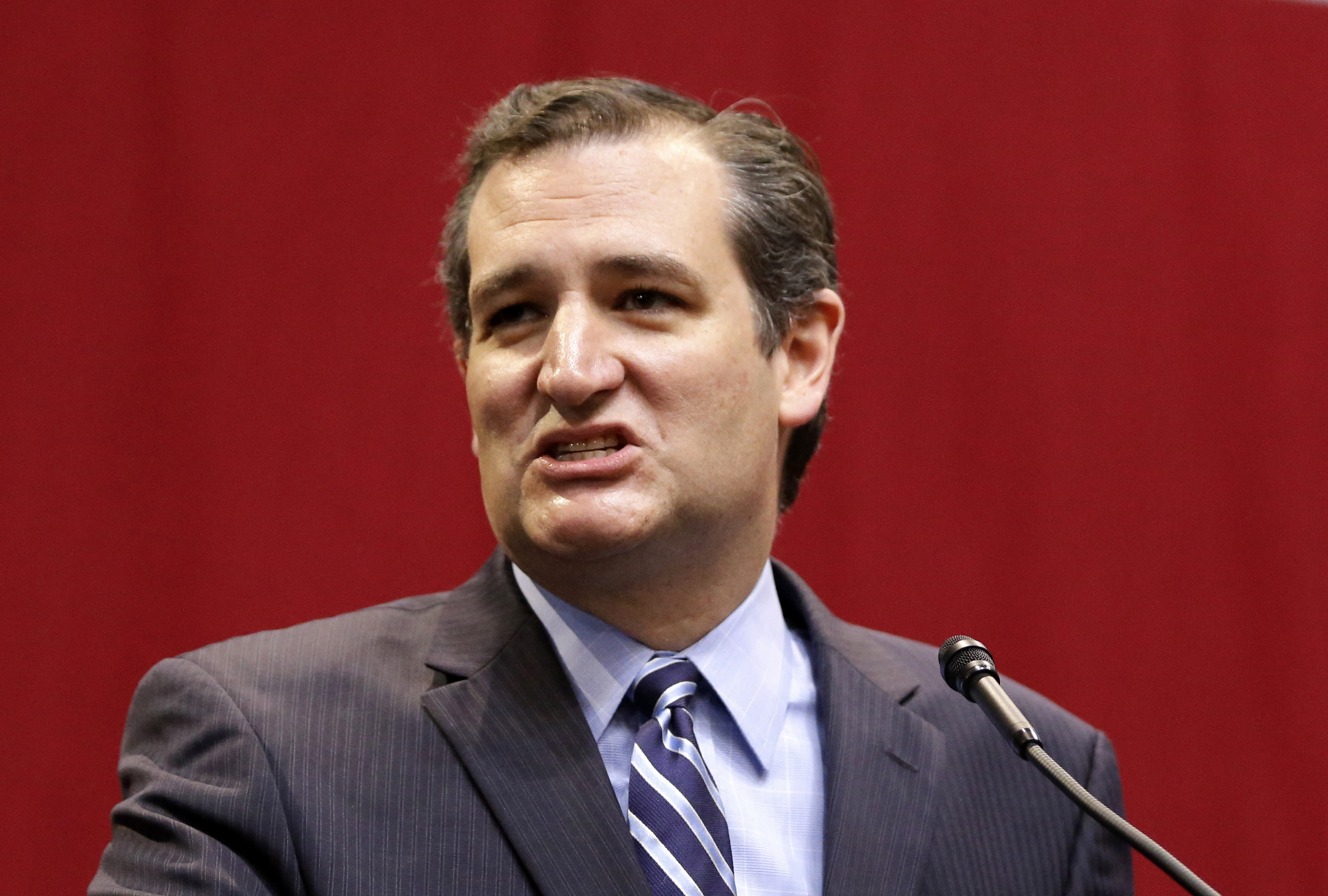 Sen. Ted Cruz (AP)