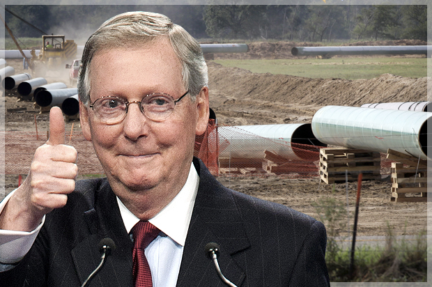 Mitch McConnell (Reuters/Joshua Roberts/AP/Tony Gutierrez/Photo montage by Salon)