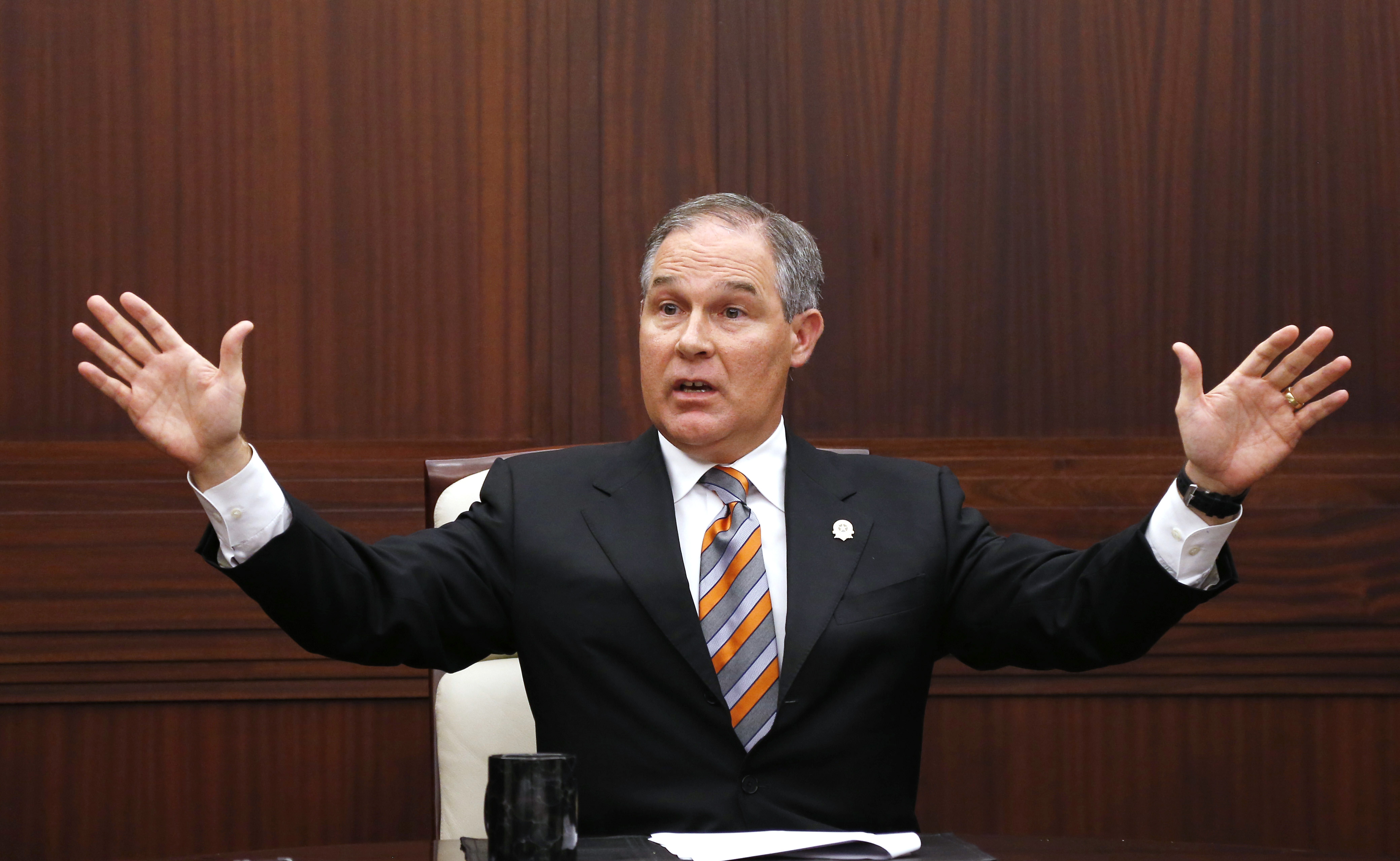 (AP Photo/Sue Ogrocki, File)