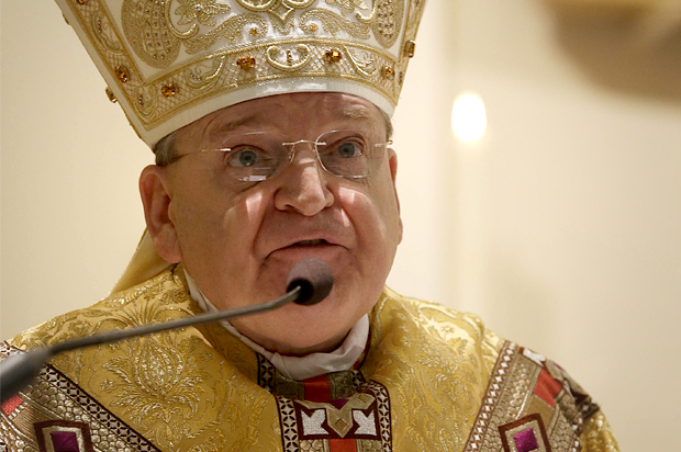 Cardinal Raymond Leo Burke (AP/Gregorio Borgia)