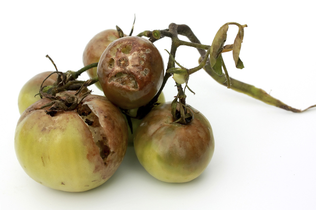 (<a href='http://www.istockphoto.com/profile/iarphoto'>IARphoto</a> via <a href='http://www.istockphoto.com/'>iStock</a>)