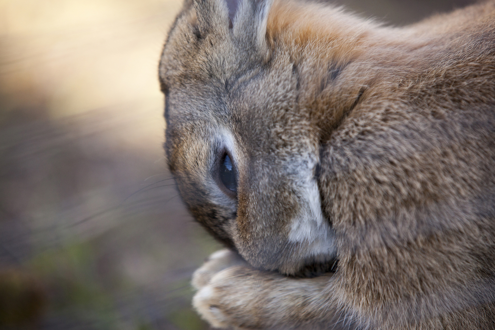 (<a href='url to photographer'> 9387388673</a> via <a href='http://www.shutterstock.com/'>Shutterstock</a>)