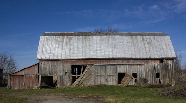 (Barbara Eckstein via Flickr)