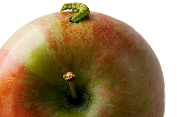 (<a href='http://www.istockphoto.com/user_view.php?id=6120525'>AlexD75</a> via <a href='http://www.istockphoto.com/'>iStock</a>)