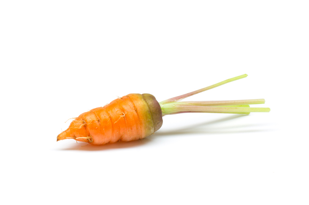 (<a href='http://www.shutterstock.com/gallery-737338p1.html'>Oraya</a> via <a href='http://www.shutterstock.com/'>Shutterstock</a>)