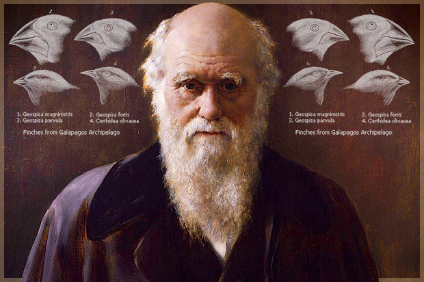 Charles Darwin (Wikimedia/Salon)