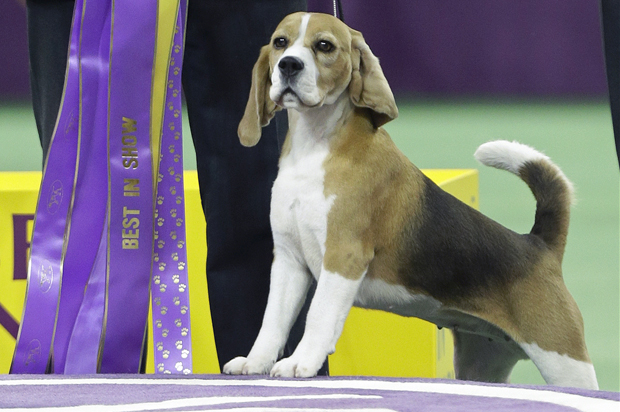 Miss P (AP/Frank Franklin Ii)
