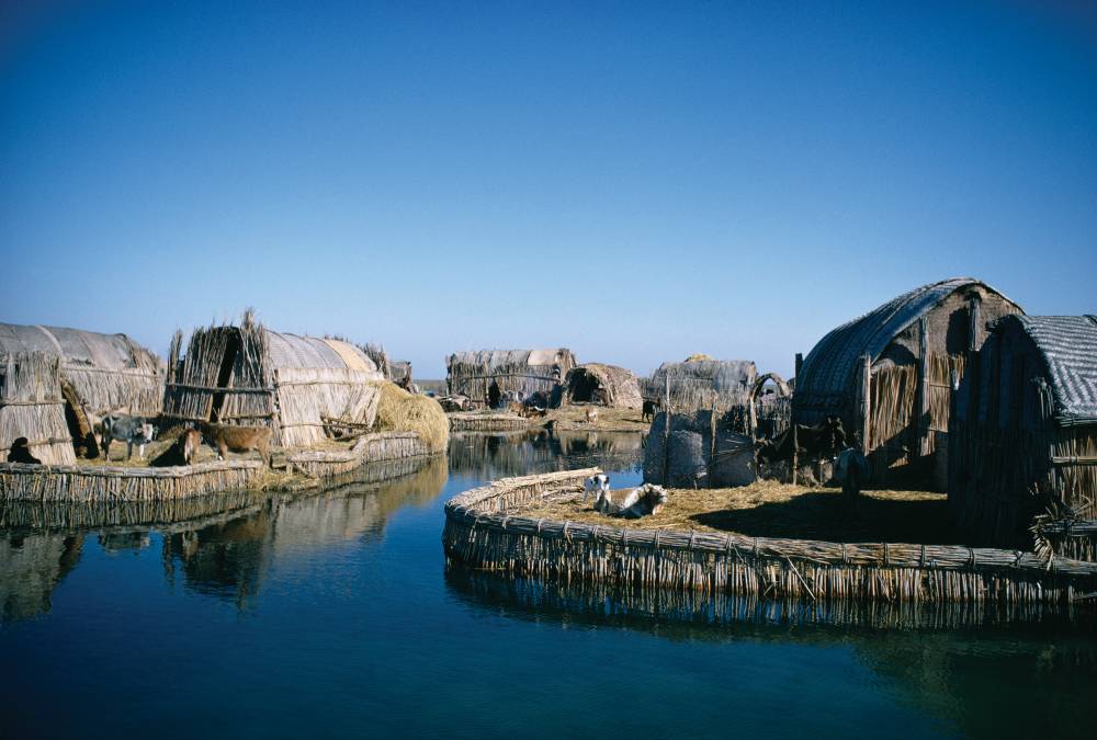 Iraq. Marshes in the south the way they were pre-Saddam Hussein. Everyone out at work in the marshes fishing, hunting.