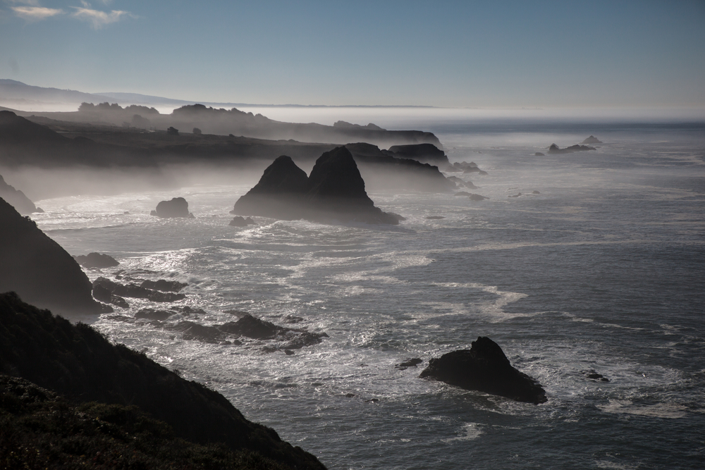 (Ethan Daniels/Shutterstock)