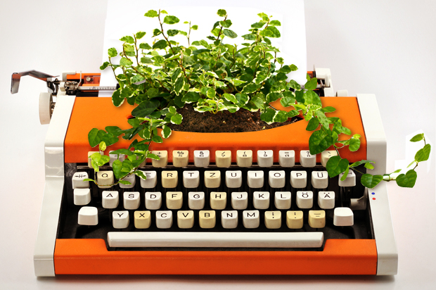 (<a href='http://www.shutterstock.com/gallery-130897p1.html'>ben44</a>, <a href='http://www.shutterstock.com/gallery-610702p1.html'>jannoon028</a> via <a href='http://www.shutterstock.com/'>Shutterstock</a>/Salon)