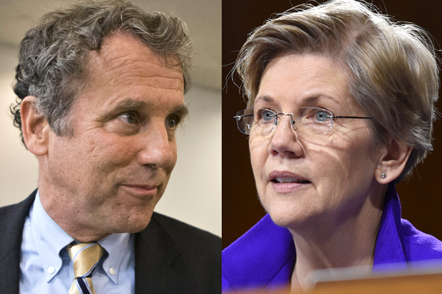 Sherrod Brown, Elizabeth Warren (AP/J. Scott Applewhite/Susan Walsh)