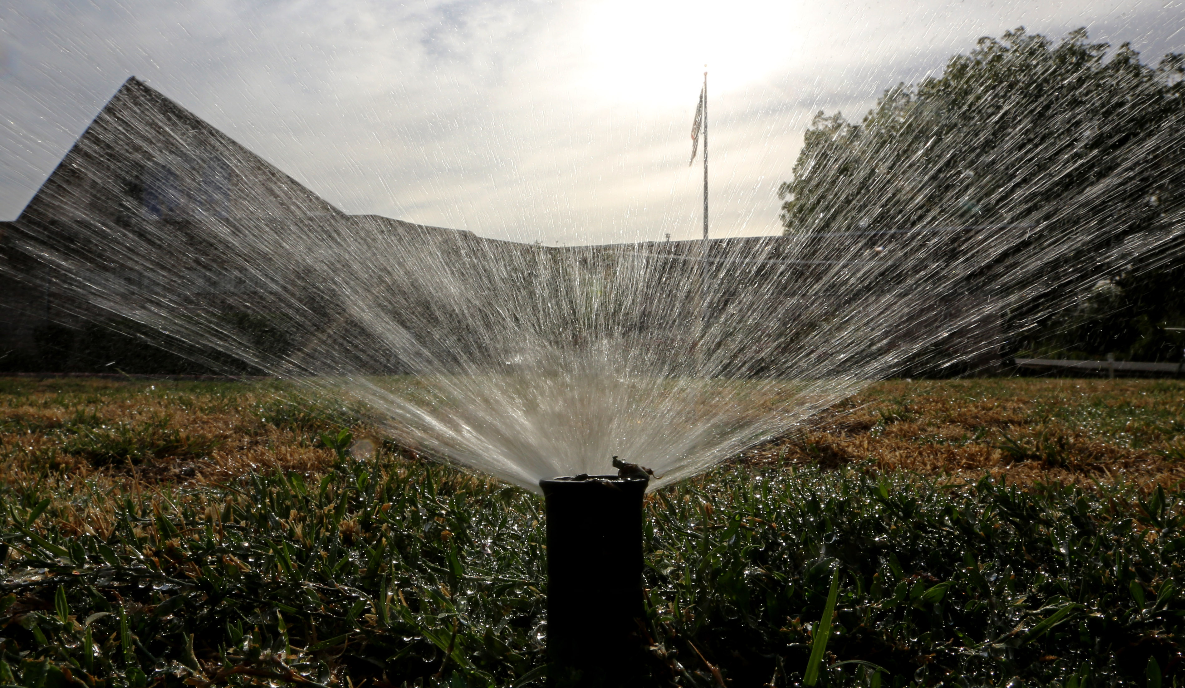 FILE - In this July 15, 2014, file photo sprinklers water a lawn in Sacramento, Calif. (AP Photo/Rich Pedroncelli, File) (AP)