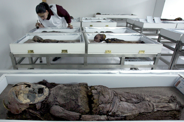 A mummified Chinchorro child in Azapa's San Miguel Museum in Arica city, October 27, 2005. (Reuters/Str New)