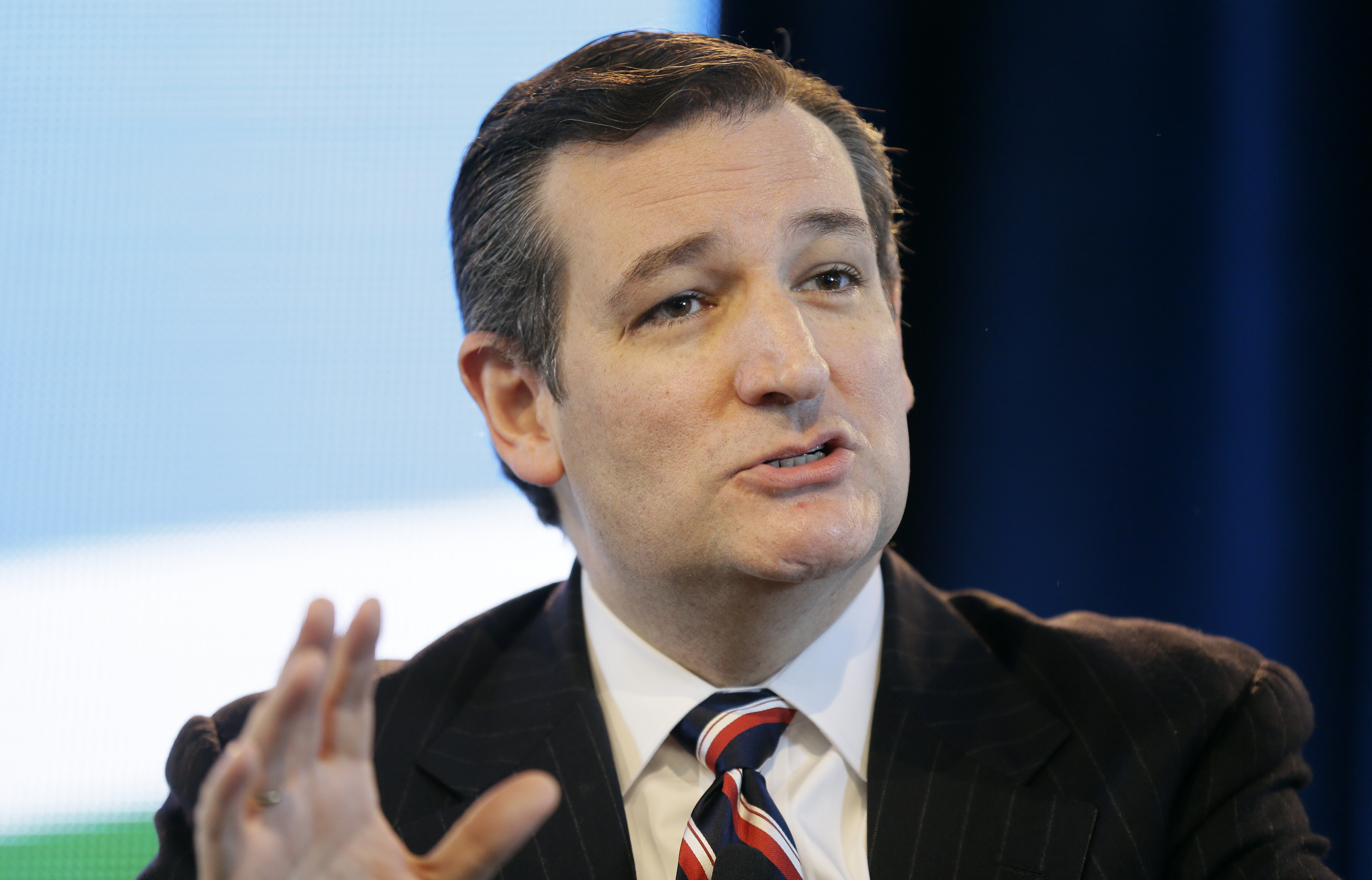 Sen. Ted Cruz, R-Texas, speaks during the Iowa Agriculture Summit, Saturday, March 7, 2015, in Des Moines, Iowa. (AP Photo/Charlie Neibergall) (AP)