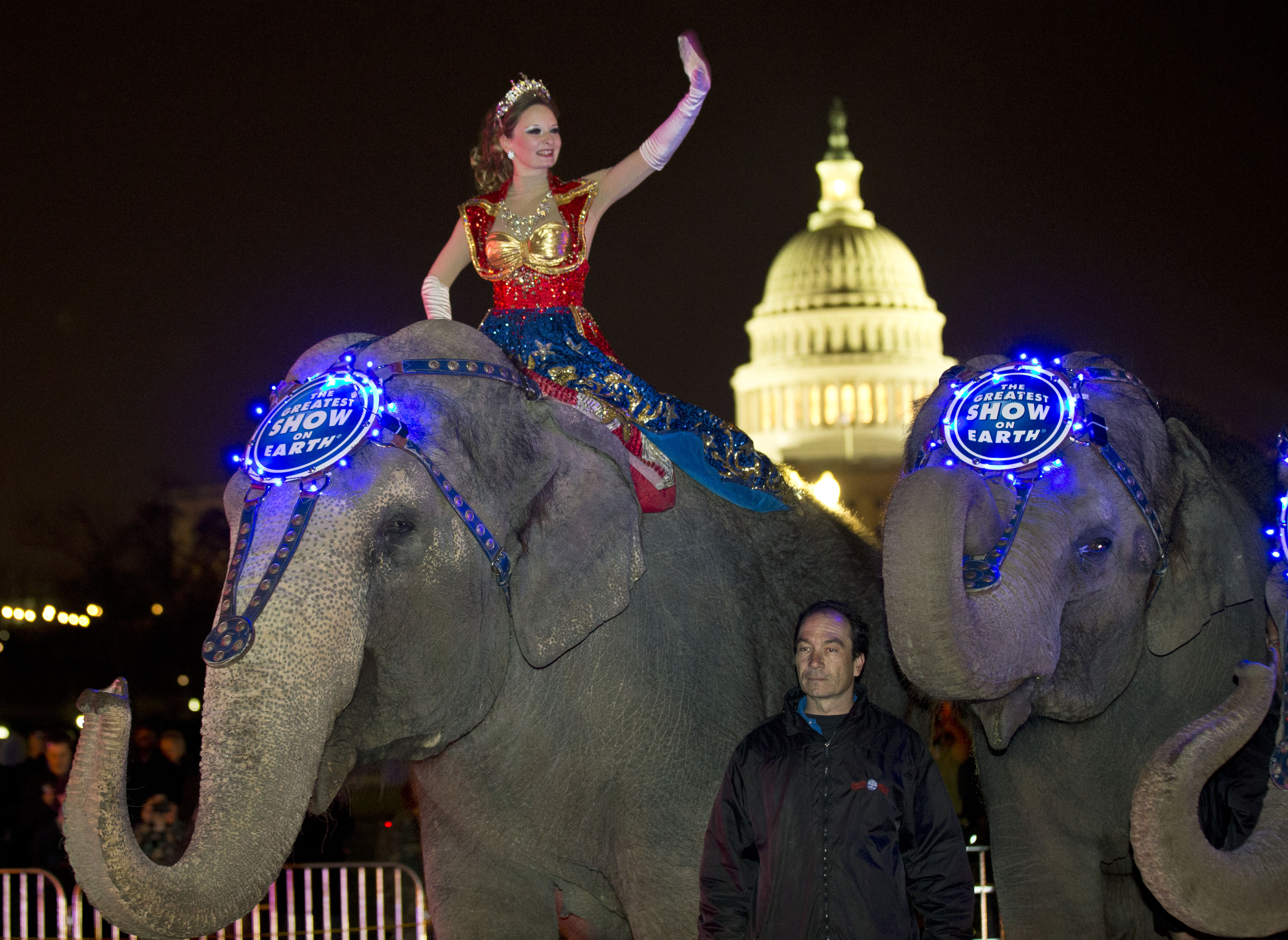 FILE - In this March 19, 2013 file photo, a performer waves as elephants with the Ringling Bros. and Barnum & Bailey show, pause for a photo opportunity in front of the Capitol in Washington, on their way to the Verizon Center, to promote the show coming to town. (AP/Alex Brandon)