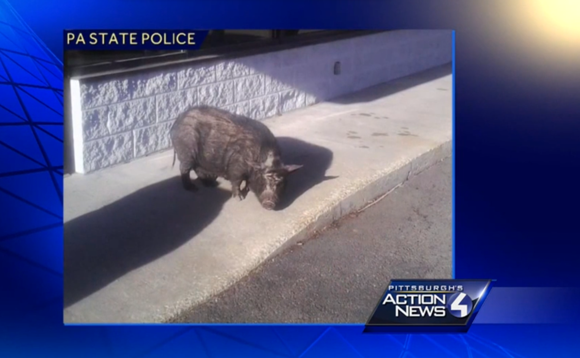 (Action News 4)