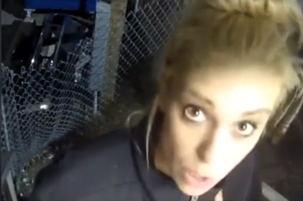 Britt McHenry (CNN/LiveLeak)