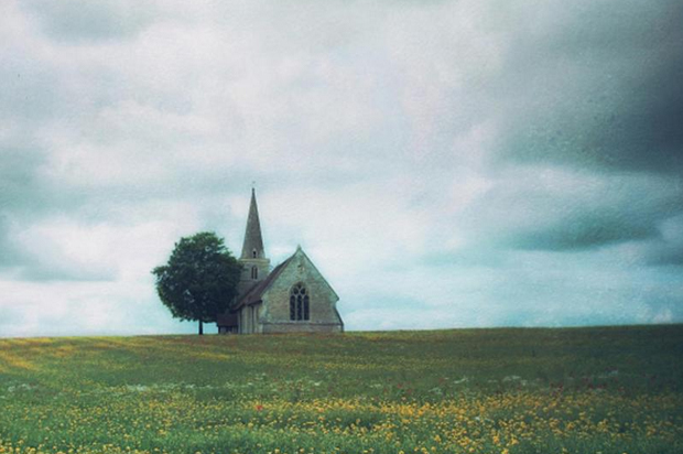 Cover detail of "Searching for Sunday: Loving, Leaving, and Finding the Church"