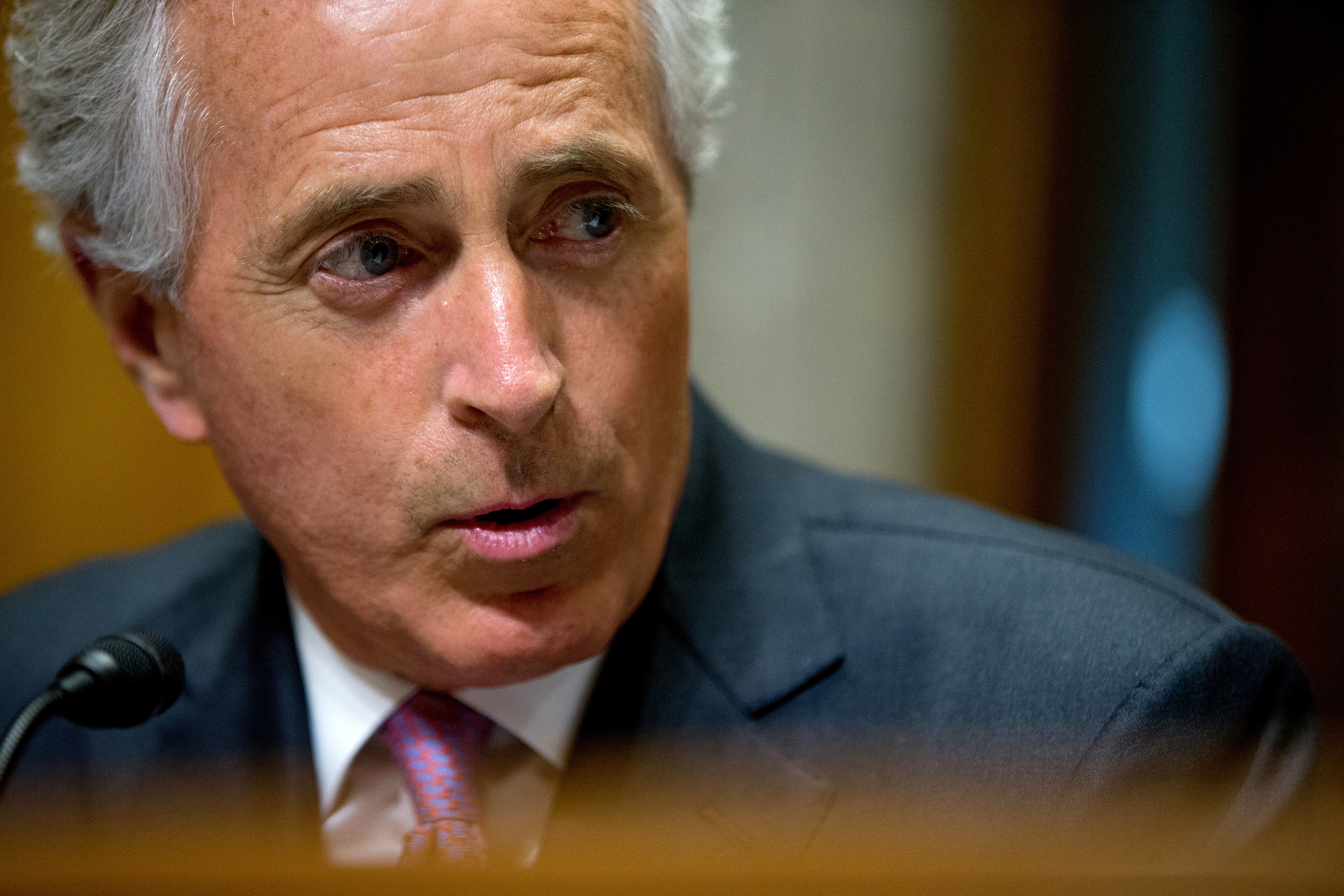 (AP Photo/Andrew Harnik, File) (AP)