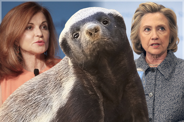 Maureen Dowd, a honey badger, and Hillary Clinton (AP/Steven Senne/Demis Maryannakis/<a href='http://www.istockphoto.com/portfolio/Moments_by_Mullineux#2427059'>Moments_by_Mullineux</a> via <a href='http://www.istockphoto.com/'>iStock</a>/Salon)