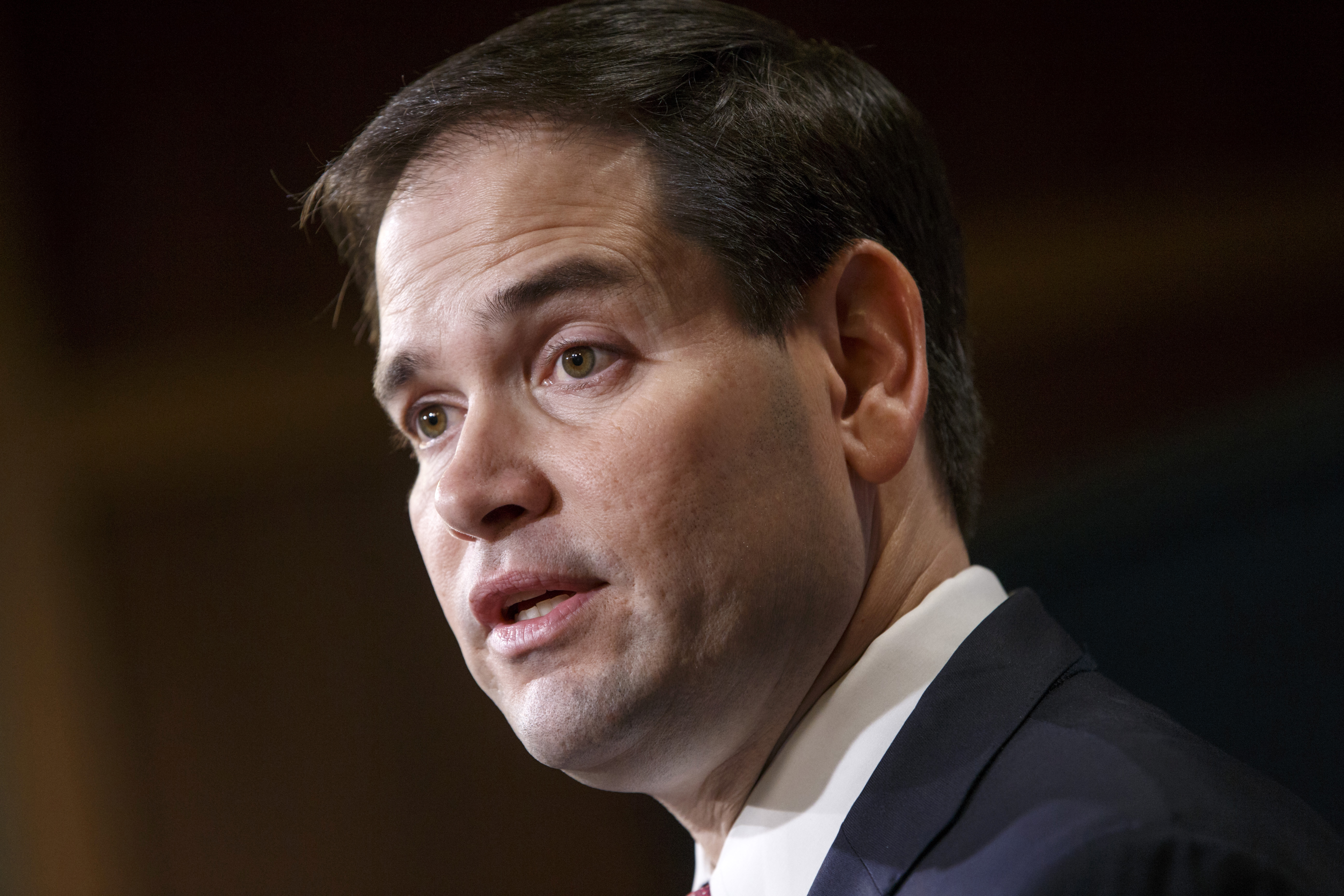 Sen. Marco Rubio (AP/Scott Applewhite)
