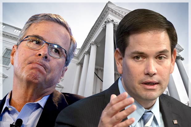 (Reuters/Jim Young/AP/Molly Riley/Photo montage by Salon)