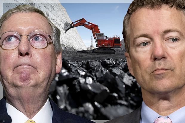 (AP/Manuel Balce Ceneta/Andrew Harnik/Reuters/Jim Urquhart/Photo montage by Salon)