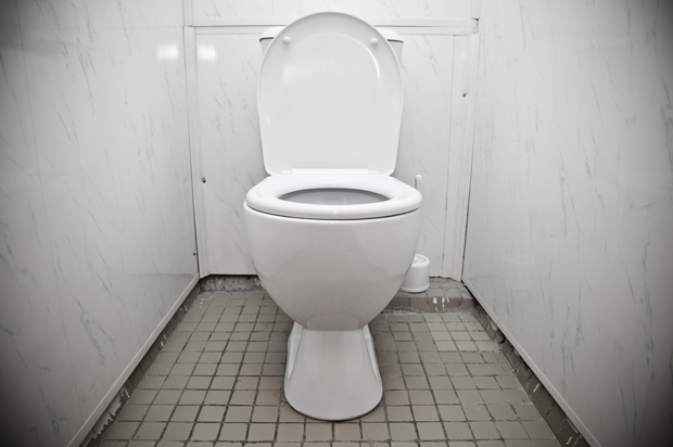 (<a href='http://www.shutterstock.com/pic-248906143/stock-photo-toilet-in-the-bathroom-of-economy-class-black-and-white-photo.html?src=dt_last_search-4'>Devin_Pavel</a> via <a href='http://www.shutterstock.com/'>Shutterstock</a>)
