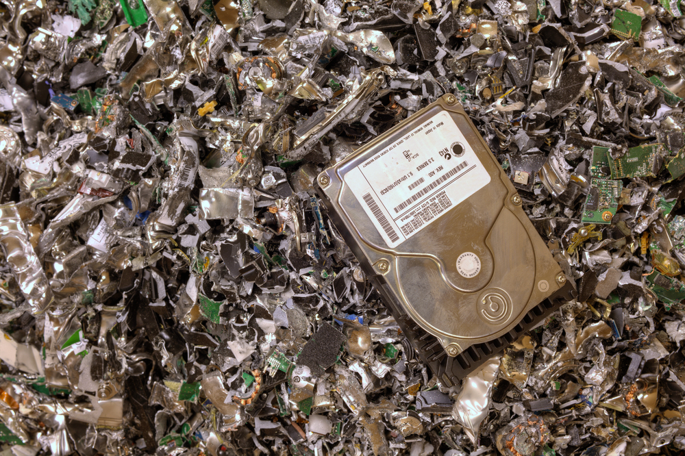 (Huguette Roe/Shutterstock)