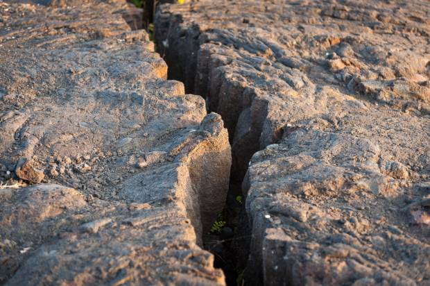 (Karen Grigoryan/Shutterstock)