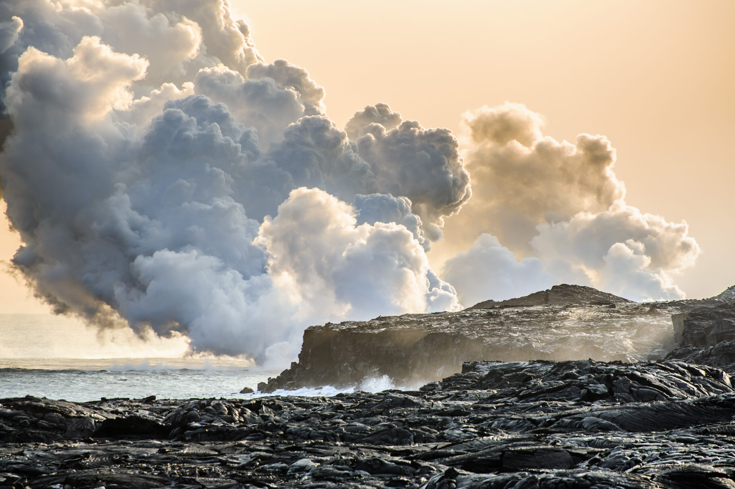 (Karen Grigoryan/Shutterstock)