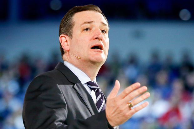 (AP/Andrew Harnik)