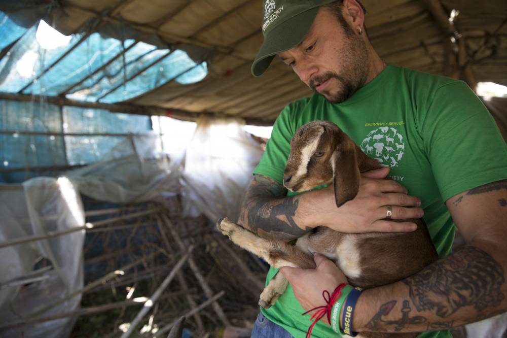 KATHMANDU, NEPAL-- May 1, 2015--Team  from Humane Society International doing assessments and rescue work in the Lalipur District outside Kathmandu where many houses collapsed and animals died during last week's earthquake. (Jodi Hilton)