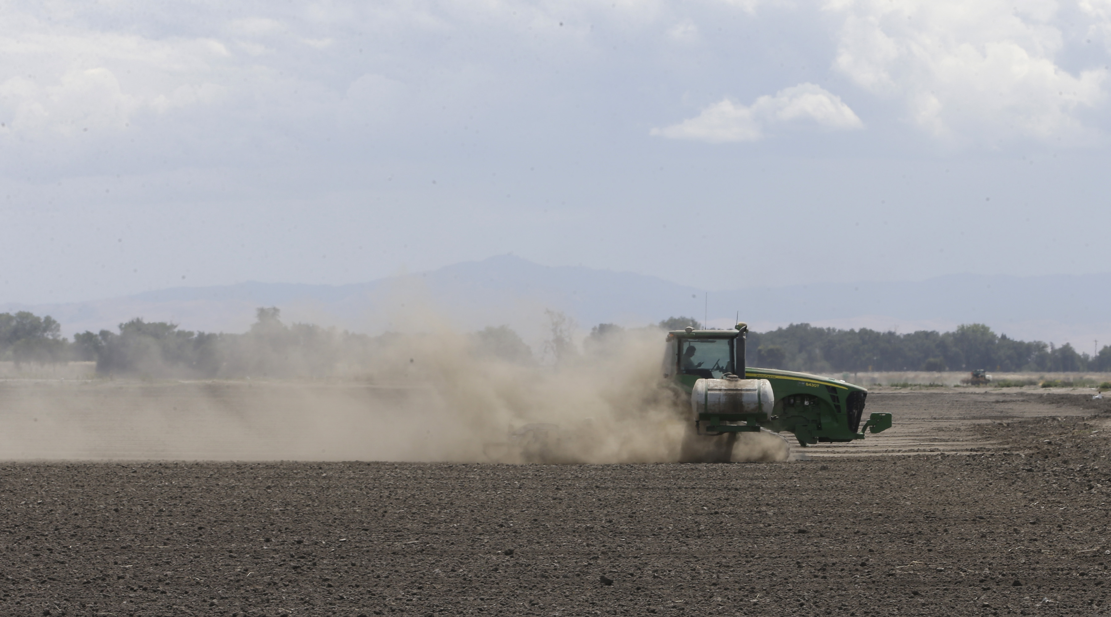 In this photo taken Monday, May 18, 2015, a tractor tills the dry land on the acreage  farmed by Gino Celli, near Stockton, Calif. Celli, who farms 1,500 acres of land and manages another 7,000 acres, has senior water rights and draws irrigation water from the Sacramento-San Joaquin River Delta.  Farmers in the Sacramento-San Joaquin River Delta who have California's oldest water rights are proposing to voluntarily cut their use by 25 percent to avoid the possibility of even harsher restrictions by the state later this summer as the record drought continues. (AP Photo/Rich Pedroncelli) (AP)
