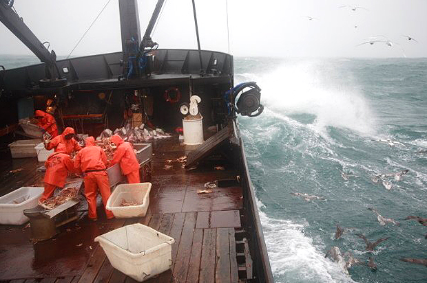 "Deadliest Catch" (Discovery Channel)