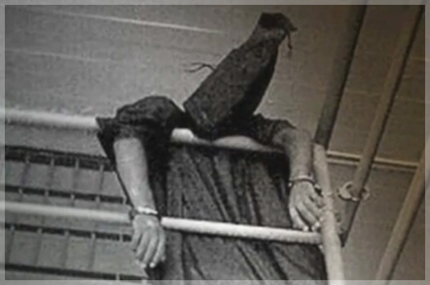 (PBS)