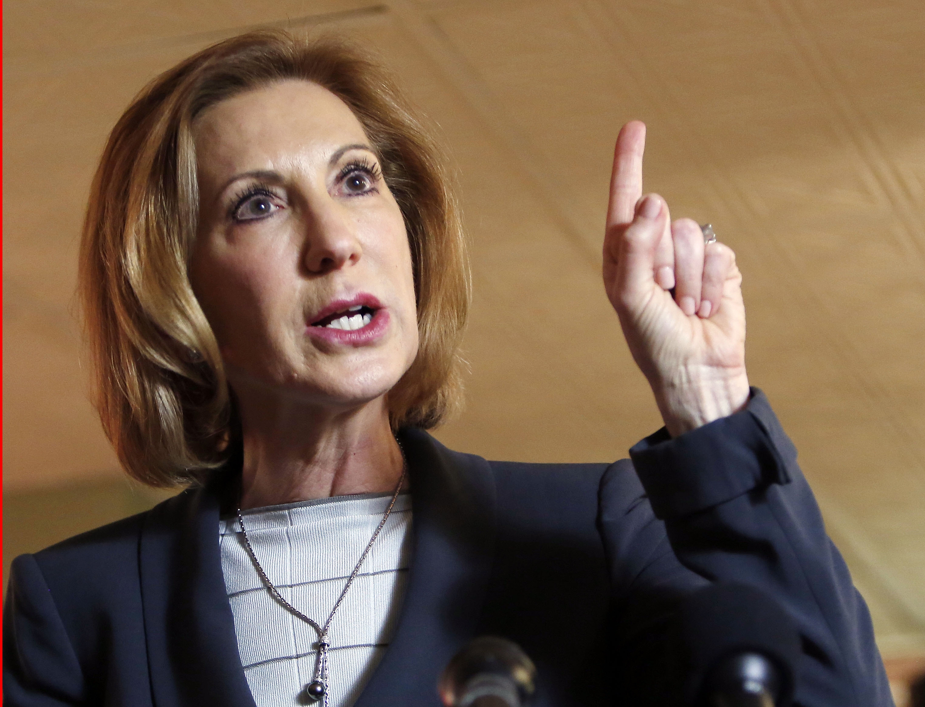 Carly Fiorina (AP/Jim Cole)