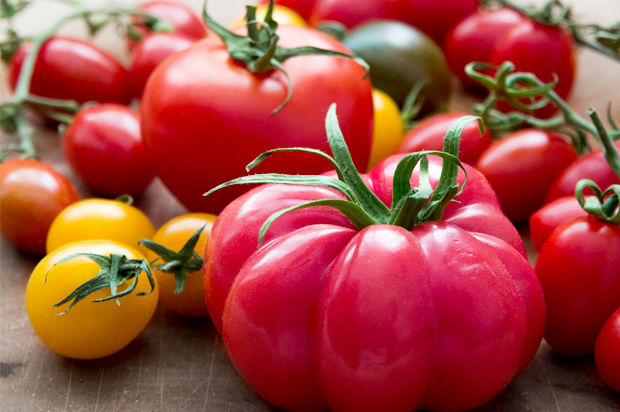 Heirloom Tomatoes (<a href='http://www.shutterstock.com/gallery-368203p1.html'>keren-seg</a> via <a href='http://www.shutterstock.com/'>Shutterstock</a>)